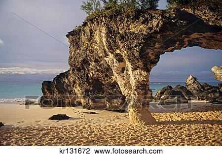 Horshoe Beach Bermuda View Large Photo Image Stock Image - Horshoe Beach Bermuda . Fotosearch