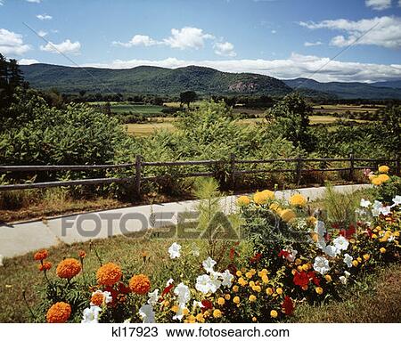 Intervale, New Hampshire View Large Photo Image Stock Image - Intervale, New Hampshire. Fotosearch