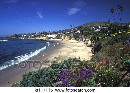 Laguna Beach Ca Divers Cove And Heisler Park View Large Photo Image Stock Photography - Laguna Beach Ca Divers Cove And Heisler Park . Fotosearch