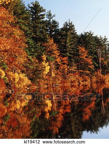 Lake Chocorua, New Hampshire View Large Photo Image Stock Image - Lake Chocorua, New Hampshire. Fotosearch