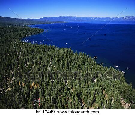 Lake Tahoe Ca Aerial View Of Lake And Trees View Large Photo Image Stock Photo - Lake Tahoe Ca Aerial View Of Lake And Trees . Fotosearch