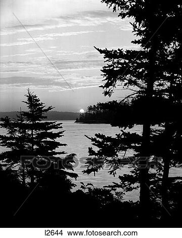 Lake Trees Retro View Large Photo Image Picture - Lake Trees Retro. Fotosearch