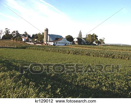 Lancaster Pa Amish Farm Scenic View Large Photo Image Stock Image - Lancaster Pa Amish Farm Scenic . Fotosearch