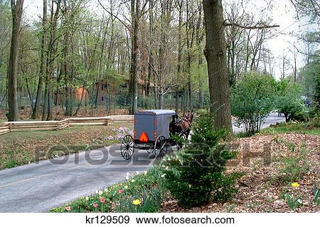 Stock Photo - Lancaster Pa Amish Horse Drawn Buggy On Country Road In Spring . Fotosearch