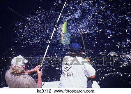Man Fishing From Boat Dolphin Mahi Mahi View Large Photo Image Stock Image - Man Fishing From Boat Dolphin Mahi Mahi . Fotosearch