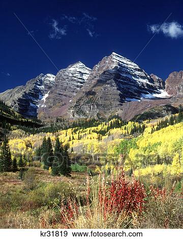 Maroon Bells Peaks White River National Forest Colorado View Large Photo Image Stock Photo - Maroon Bells Peaks White River National Forest Colorado . Fotosearch