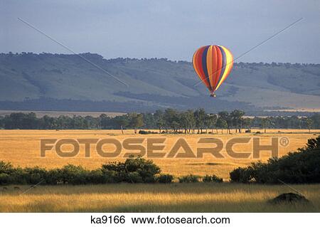 Masai Mara, Kenya Hot Air Ballooning View Large Photo Image Stock Photograph - Masai Mara, Kenya Hot Air Ballooning. Fotosearch