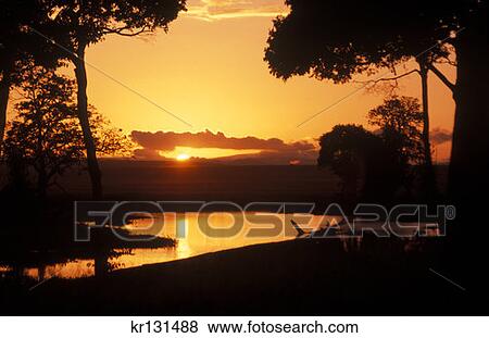 Stock Photo - Masai Mara, Kenya Sunrise Over Pond. Fotosearch