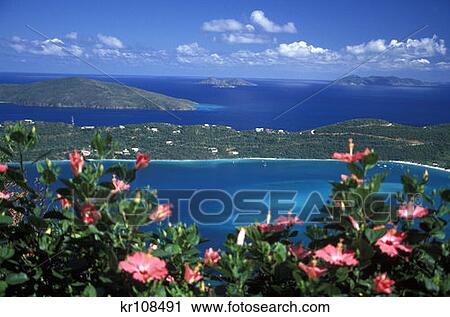 Megan Bay St. Thomas U. S. Virgin Islands View Large Photo Image Stock Image - Megan Bay St. Thomas U. S. Virgin Islands . Fotosearch