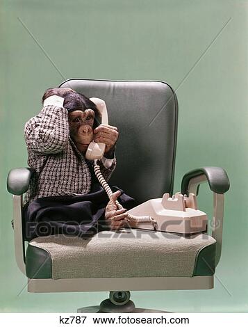 Monkey With Telephone View Large Photo Image Stock Photo - Monkey With Telephone. Fotosearch