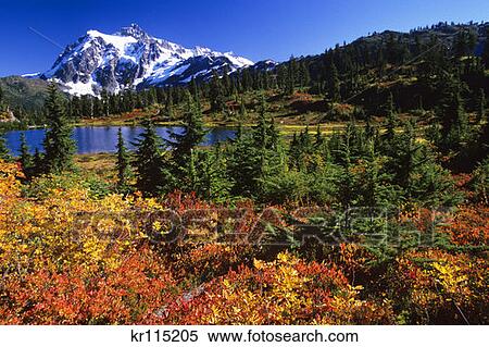 Mount Shuksan, Wa Heather Meadows Autumn View Large Photo Image Stock Photography - Mount Shuksan, Wa Heather Meadows Autumn. Fotosearch