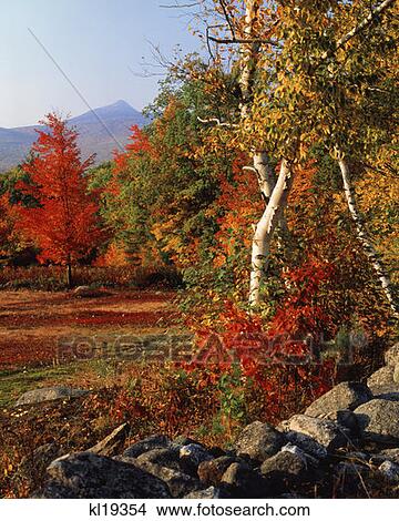 Mt. Chocorua New Hampshire View Large Photo Image Picture - Mt. Chocorua New Hampshire. Fotosearch