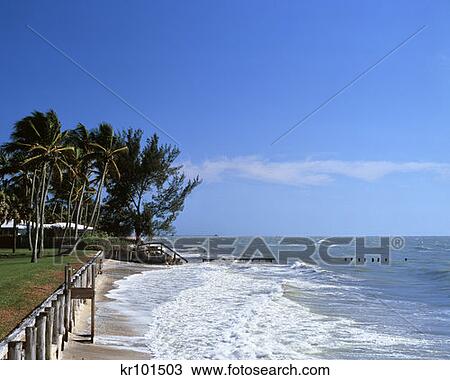 Naples Florida View Large Photo Image Stock Image - Naples Florida . Fotosearch