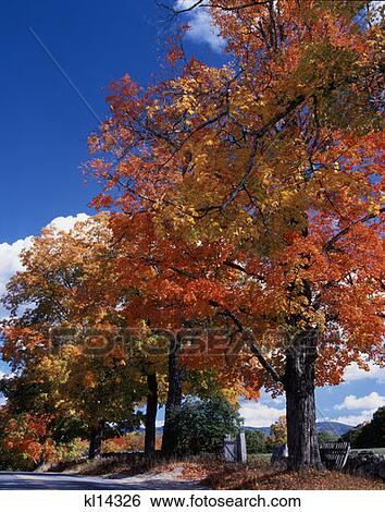 Stock Photograph - Near Fryeburg Maine. Fotosearch