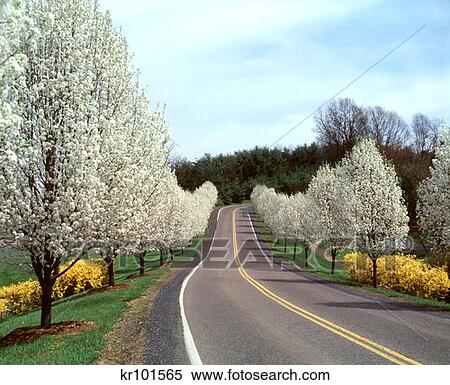 Near Harrisonburg Virginia View Large Photo Image Stock Photography - Near Harrisonburg Virginia . Fotosearch