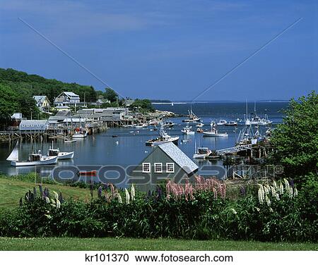 New Harbor Maine View Large Photo Image Stock Image - New Harbor Maine . Fotosearch