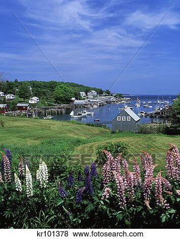 New Harbor Maine View Large Photo Image Stock Photo - New Harbor Maine . Fotosearch