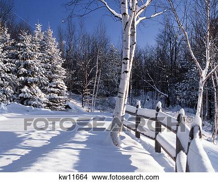 North Conway New Hampshire View Large Photo Image Picture - North Conway New Hampshire . Fotosearch