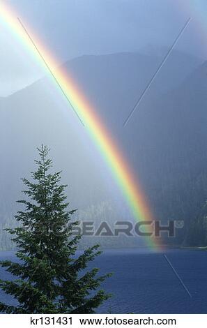 Olympic National Park, Washington Rainbow Over Lake Crescent View Large Photo Image Stock Image - Olympic National Park, Washington Rainbow Over Lake Crescent. Fotosearch