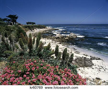 Pacific Grove Ca View Large Photo Image Stock Photo - Pacific Grove Ca . Fotosearch