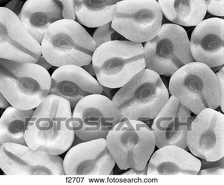 Pears Fruit Sliced Retro View Large Photo Image Stock Photo - Pears Fruit Sliced Retro. Fotosearch