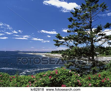 Stock Photo - Pemaquid Maine . Fotosearch