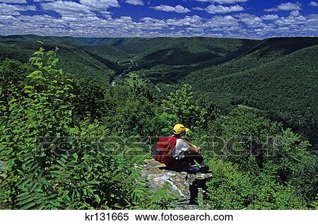 Stock Photography - Pennsylvania'S Grand Canyon Pine Creek Gorge Tioga County . Fotosearch