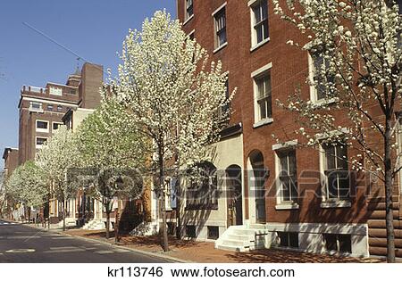 Stock Photograph - Philadelphia Pa Spruce Street Spring . Fotosearch