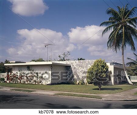 Puerto Rico Palm Tree 1970 1970S Retro View Large Photo Image Stock Photo - Puerto Rico Palm Tree 1970 1970S Retro. Fotosearch