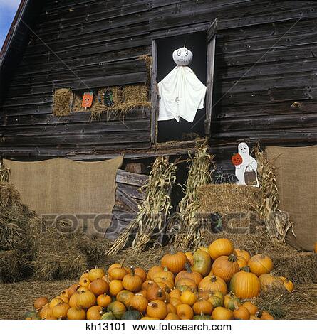 Pumpkins And Ghosts Halloween Display At Pumpkin Farm View Large Photo Image Stock Image - Pumpkins And Ghosts Halloween Display At Pumpkin Farm . Fotosearch
