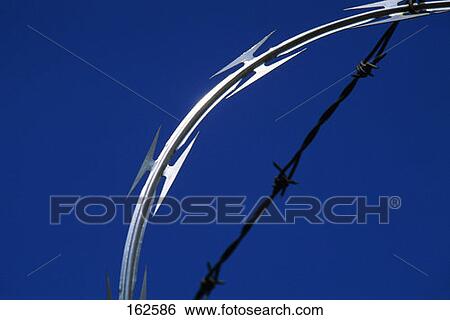 Stock Photograph - Razor Wire And Barbed Wire. Fotosearch