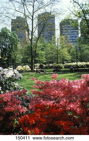 Rittenhouse Square In Spring With Colorful Flowers Philadelphia Pa View Large Photo Image Stock Image - Rittenhouse Square In Spring With Colorful Flowers Philadelphia Pa . Fotosearch