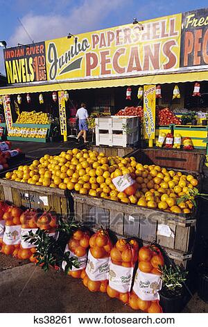 Roadside Citrus Fruit Store Florida View Large Photo Image Stock Image - Roadside Citrus Fruit Store Florida . Fotosearch