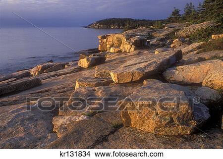 Rocky Coast Acadia National Park View Large Photo Image Picture - Rocky Coast Acadia National Park . Fotosearch