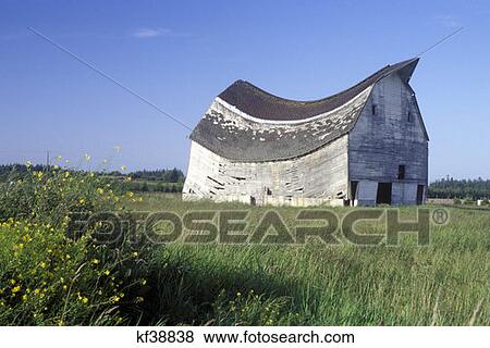 Sagging Barn Sequim, Washington View Large Photo Image Stock Photo - Sagging Barn Sequim, Washington. Fotosearch