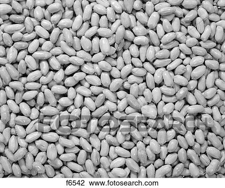 Salted Peanuts Retro View Large Photo Image Stock Image - Salted Peanuts Retro. Fotosearch