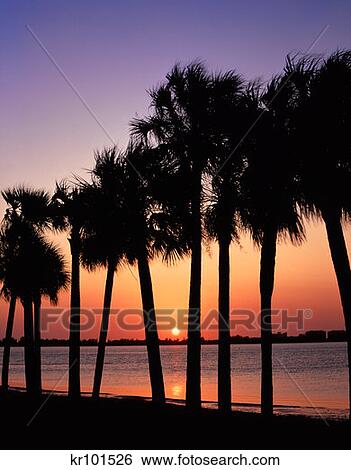 Stock Photograph - Sarasota Florida . Fotosearch