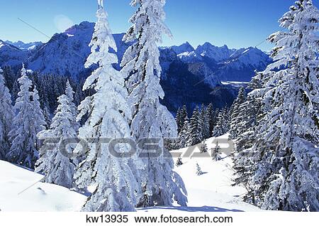 Stock Photography - Scenic Winter Landscape Trees And Mountains Covered In Snow . Fotosearch