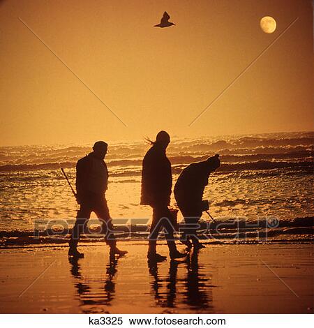 Silhouette Of Three Clam Diggers At Beach Sunset View Large Photo Image Stock Photography - Silhouette Of Three Clam Diggers At Beach Sunset. Fotosearch