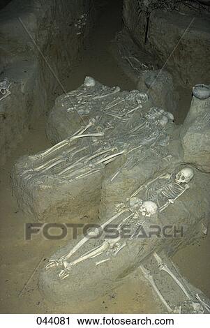 Stock Image - Skeletons Native American Burial Dixon Mounds Illinois Archaeological Dig . Fotosearch