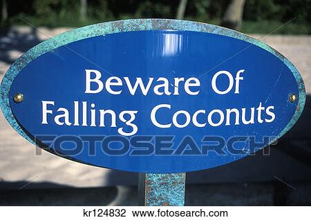 Soufriere St. Lucia West Indies Beware Of Falling Coconuts Sign View Large Photo Image Stock Image - Soufriere St. Lucia West Indies Beware Of Falling Coconuts Sign . Fotosearch