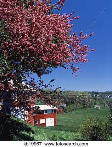 Spring Scenic Landscape Near Broad Cove Maine View Large Photo Image Stock Photo - Spring Scenic Landscape Near Broad Cove Maine. Fotosearch