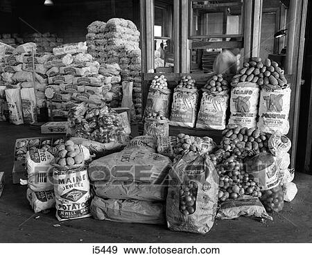 Still Life Of Bags Of Various Types Of Potatoes Stacked In Warehouse View Large Photo Image Stock Photo - Still Life Of Bags Of Various Types Of Potatoes Stacked In Warehouse . Fotosearch