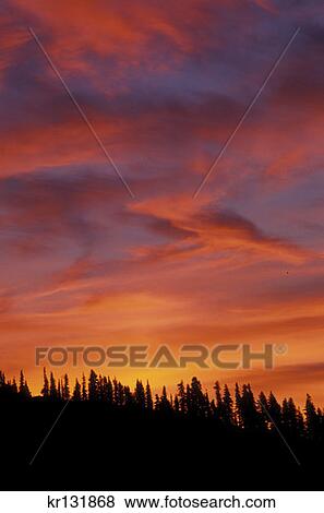 Stock Photo - Sunrise Over Mazama Ridge Mount Ranier National Park . Fotosearch