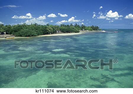 Picture - Sunshine Key Fl . Fotosearch