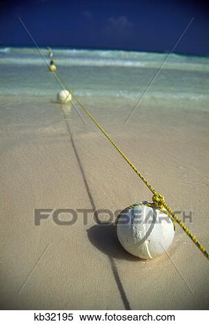 Swimming Buoys Caribbean Ocean Riviera Maya, Mexico View Large Photo Image Stock Photography - Swimming Buoys Caribbean Ocean Riviera Maya, Mexico. Fotosearch