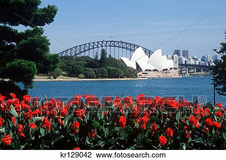 Stock Image - Sydney Australia Sydney Opera House And Harbor Bridge Viewed From Royal Botanic Garden . Fotosearch