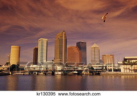 Tampa Florida Downtown Skyline At Sunset View Large Photo Image Stock Photography - Tampa Florida Downtown Skyline At Sunset . Fotosearch