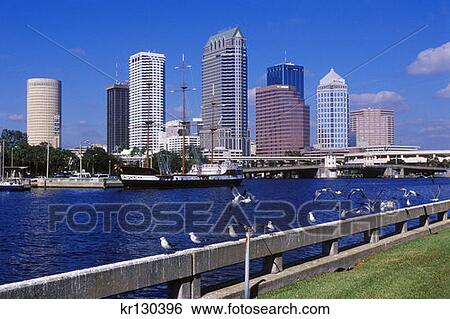 Tampa Florida Downtown Skyline View Large Photo Image Stock Photograph - Tampa Florida Downtown Skyline . Fotosearch
