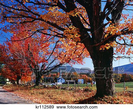 Tamworth Nh Autumn View Large Photo Image Stock Photo - Tamworth Nh Autumn . Fotosearch